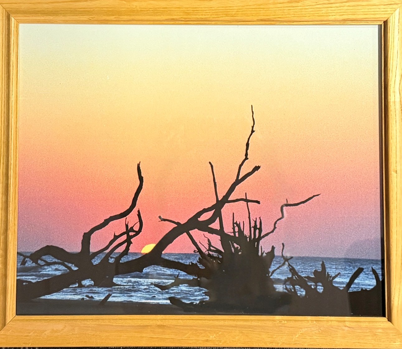 Bull Island Sunrise #1